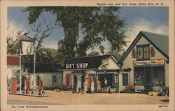 Reptile Zoo and Gift Shop Postcard