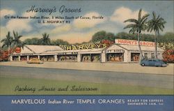 Harvey's Groves Packing House and Salesroom - On the Famous Indian River Cocoa, FL Postcard Postcard Postcard