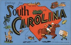 Greetings from South Carolina Postcard Postcard 