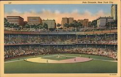 Polo Grounds New York, NY Postcard Postcard Postcard