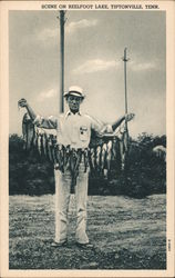 Scene on Reelfoot Lake - Man With String of Fish Tiptonville, TN Postcard Postcard Postcard