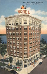 Orange Blossom Hotel Sarasota, Florida Postcard Postcard Postcard