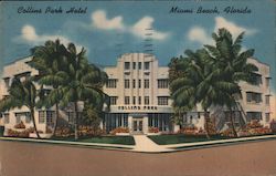 Collins Park Hotel Postcard