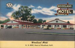 Woodland Motel Postcard