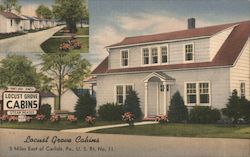 Locust Grove Cabins Postcard