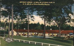 Skyway Lodge 9 Miles W of Chico Calif & US 99-E on Chico-Paradise Skyway Postcard