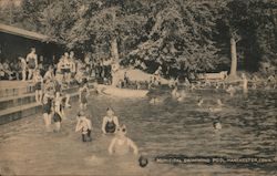 Municipal Swimming Pool Postcard