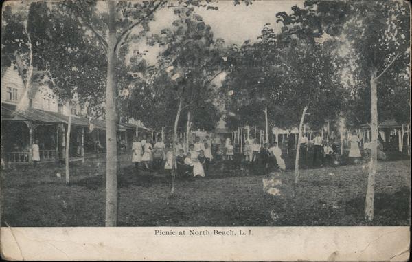 Picnic North Beach New York