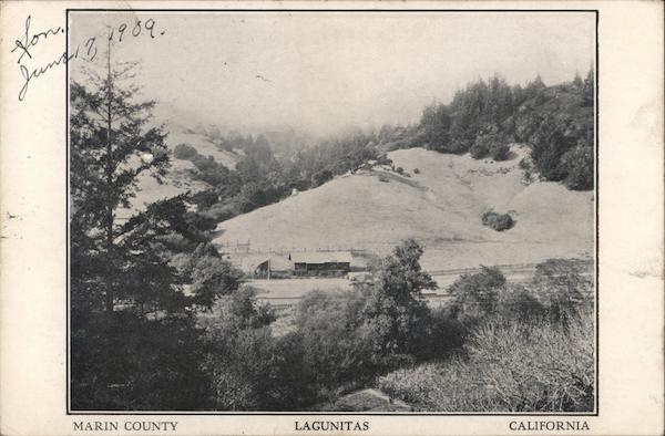 Marin County Lagunitas California