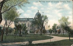 Ball High School and Grounds Postcard