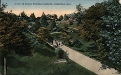View of Busch Sunken Gardens Postcard