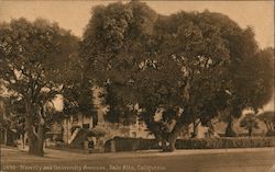 Waverly and University Avenue Palo Alto, CA Postcard Postcard Postcard