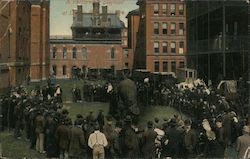 A Performing Elephant at Lincoln Park Postcard