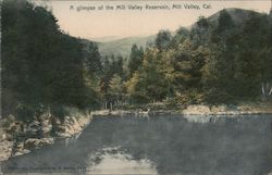 A glimpse of the Mill Valley Reservoir Postcard