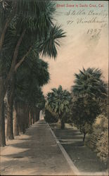 Street Scene in Santa Cruz Postcard