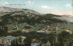 Sunnyside Mill Valley, CA Postcard Postcard Postcard