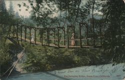 The Swinging Bridge Santa Cruz, CA Postcard Postcard Postcard