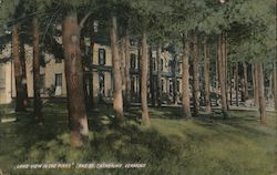 Lake View in the Pines, Lake St Catherine Postcard