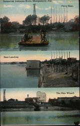 Scenes on Alabama River Postcard