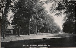 Pearl Street Brandon, VT Postcard Postcard Postcard