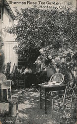 Sherman Rose Tea Garden Postcard