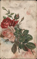 Rose Bud Syrup - Gordon Syrup Company Postcard