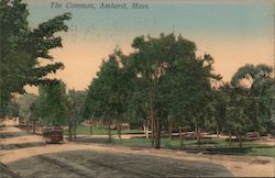 The Common Postcard