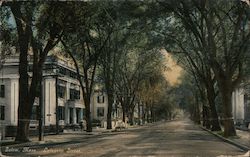 Lafayette Street Salem, MA Postcard Postcard Postcard