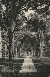 Elm Arch Postcard