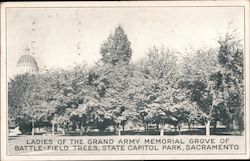 Ladies of the Grand Army Memorial Grove of Battlefield Trees, State Capitol Park Postcard