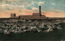 The Sugar Refinery Postcard