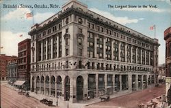 Brandeis Department Store Postcard