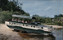 Duck Entering Wisconsin River Postcard