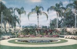 Lily Pool, Waverly Garden Florida Postcard Postcard Postcard