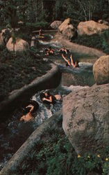 River Country Postcard