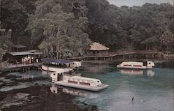 Rainbow Springs Dunnellon, FL Postcard Postcard Postcard