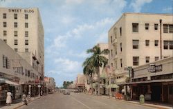 South Andrews Ave Postcard