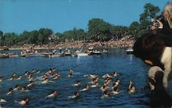 Epiphany Ceremony Tarpon Springs, FL Postcard Postcard Postcard