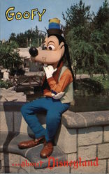 Goofy in Disneyland Postcard