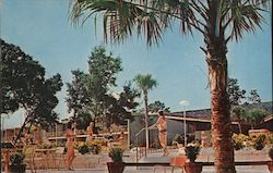 The Panorama Inn Silver Springs, FL Postcard Postcard Postcard