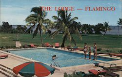 The Lodge Flamingo in The Everglades National Park Florida Postcard Postcard Postcard