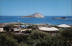 Sea Life Park Waimanalo, HI Postcard Postcard Postcard