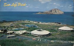 Sea Life Park Waimanalo, HI Postcard Postcard Postcard