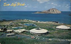 Sea Life Park Postcard