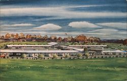 Meadowbrook Motor Inn Postcard