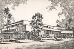 Bullock's Pasadena, CA E. E. Mitchell Postcard Postcard Postcard