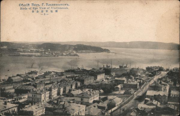 Birds of Eye View of Vladivostock Russia