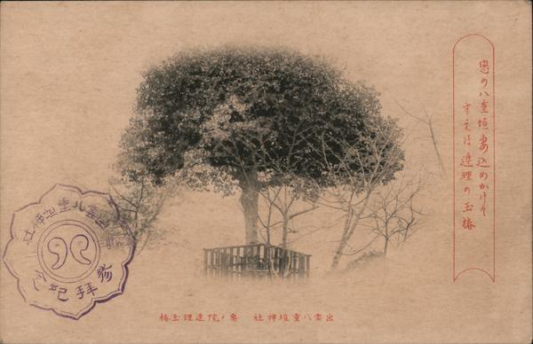 Tree, Togakushi Shrine Japan