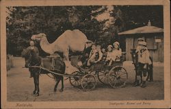 Pony Cart and Camel, Zoological Garden Postcard