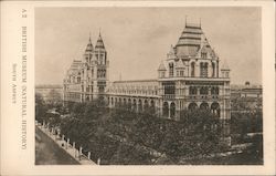 South Aspect, British Museum of Natural History London, England Postcard Postcard Postcard